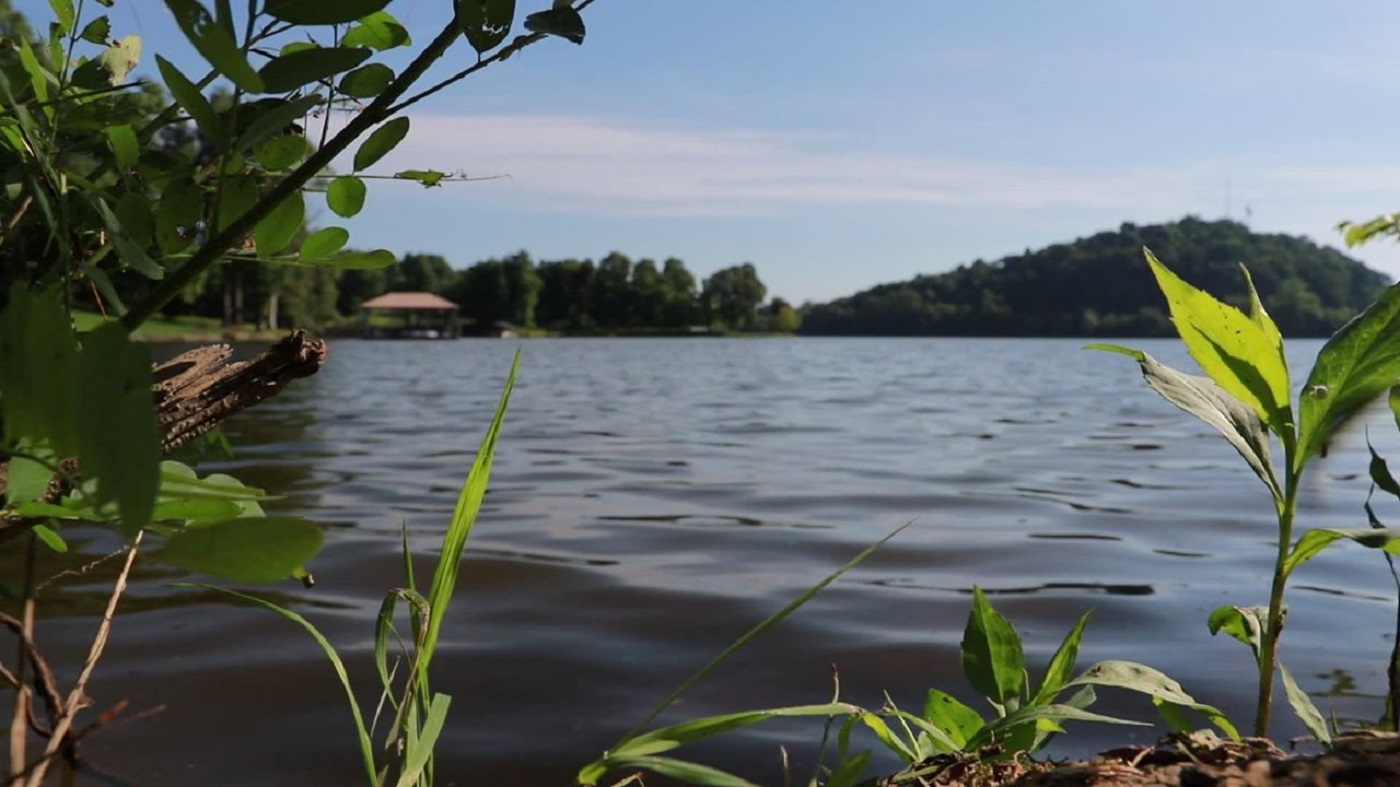 This is an image of Kentucky Lake.